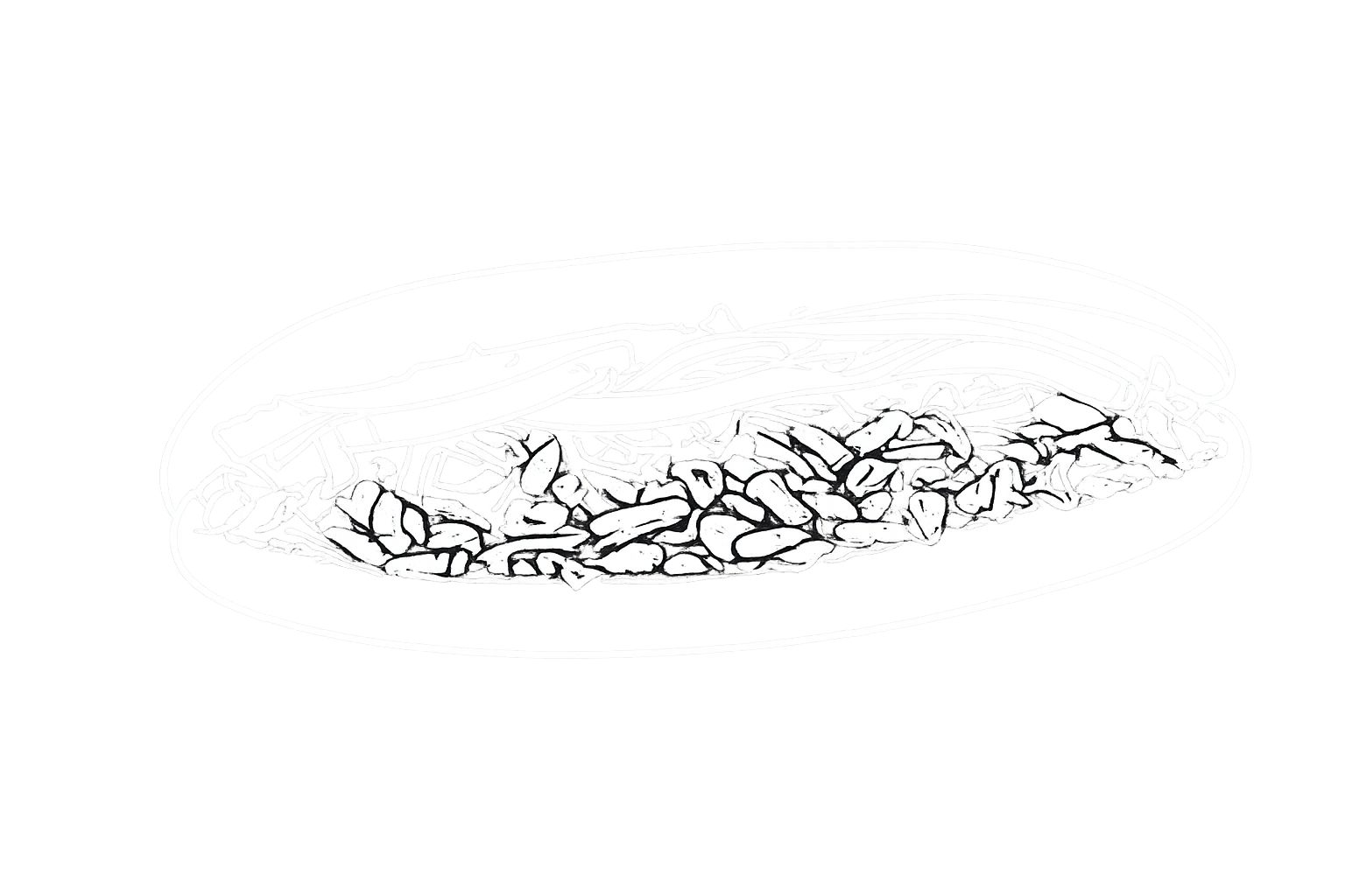 Mersin Tantuni Logo